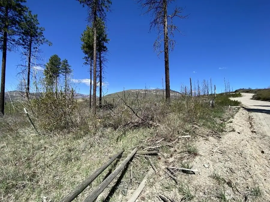 123 Buzzard Lake Road, Okanogan, WA 98840 - #2