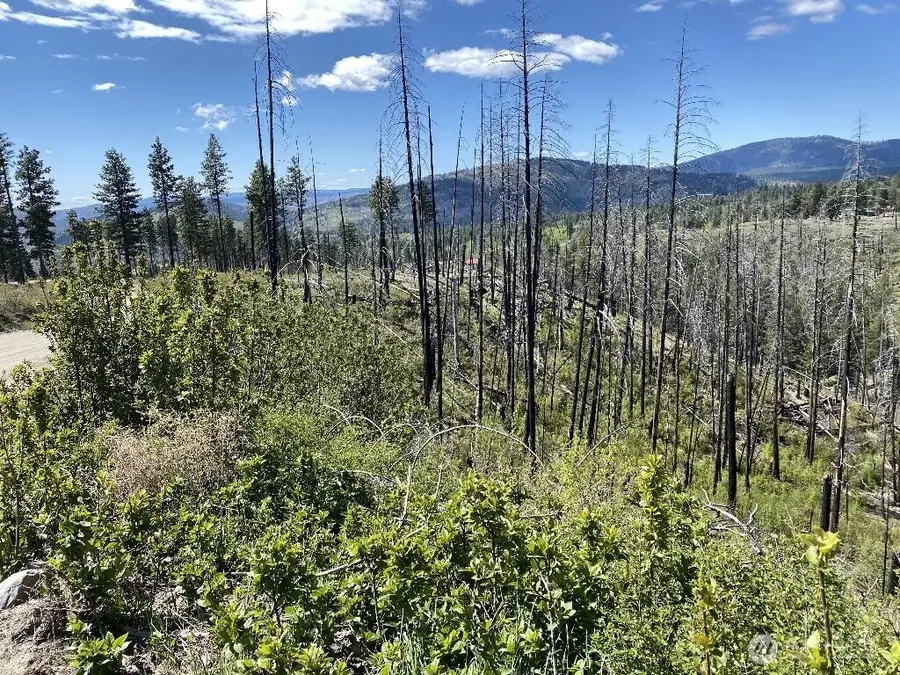 123 Buzzard Lake Road, Okanogan, WA 98840 - #3