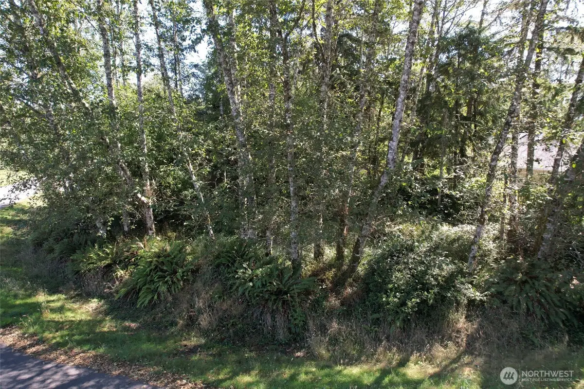 768 Sandpiper Court Se #03, Ocean Shores, WA 98569 - #1