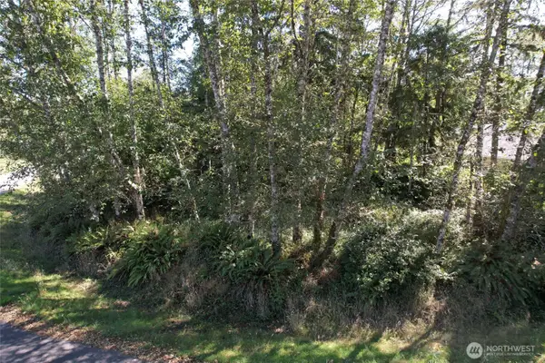 768 Sandpiper Court Se #03, Ocean Shores, WA 98569
