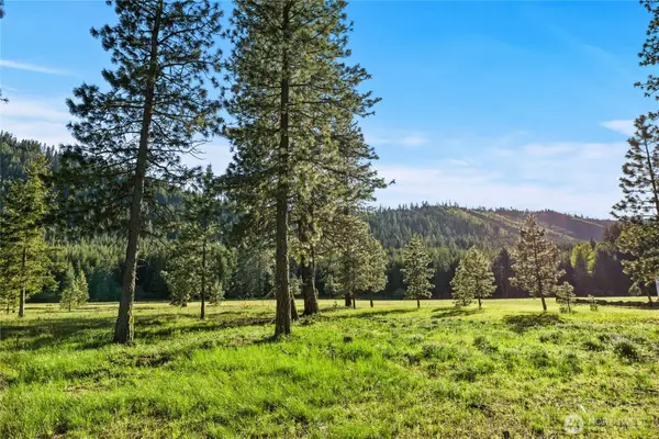 20 Domerie Park Loop #20, Cle Elum, WA 98922