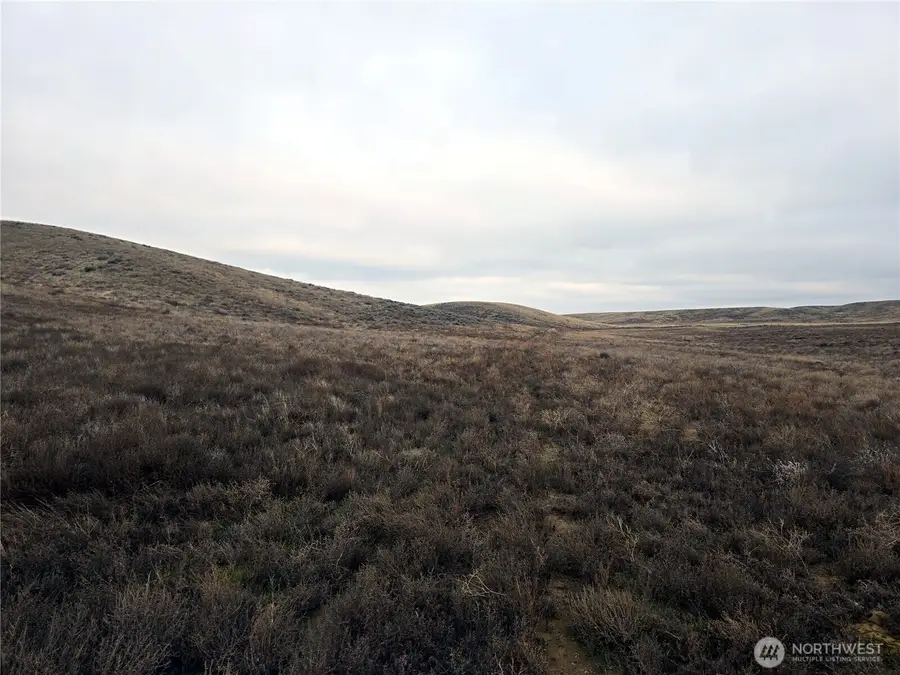 4200 Wadsworth Road, Kahlotus, WA 99335 - #3