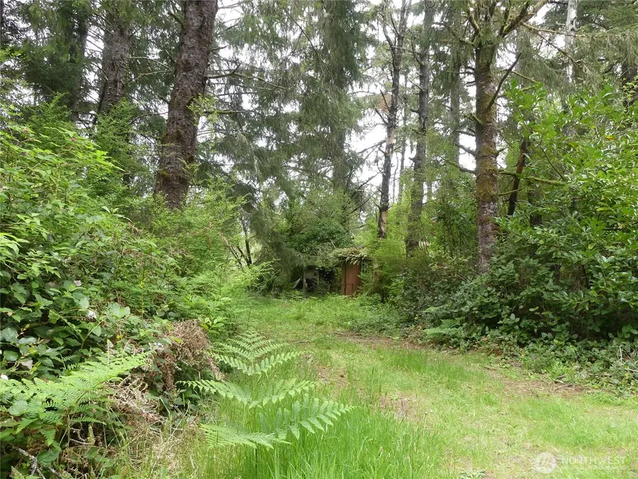 14001 Birch Street, Long Beach, WA 98631 - #2