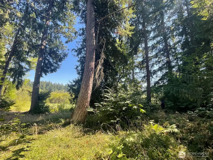 17616 SE Vine Ln, Yelm, WA 98597 - #2