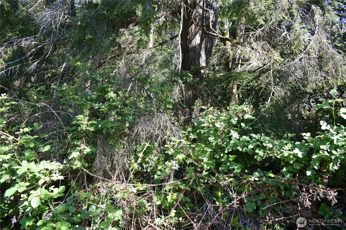 130 W Satsop Drive, Elma, WA 98541 - #1