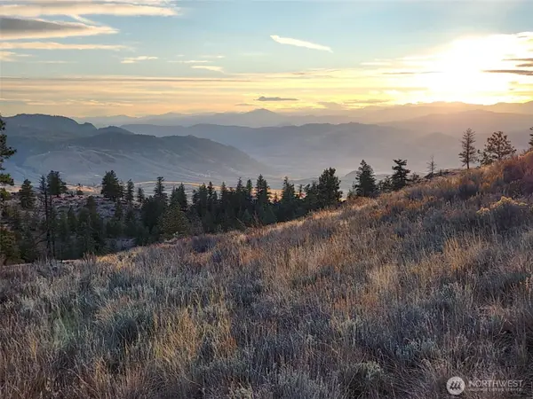 0 Blue Grouse (div 5, Lot 42) #42, Oroville, WA 98844