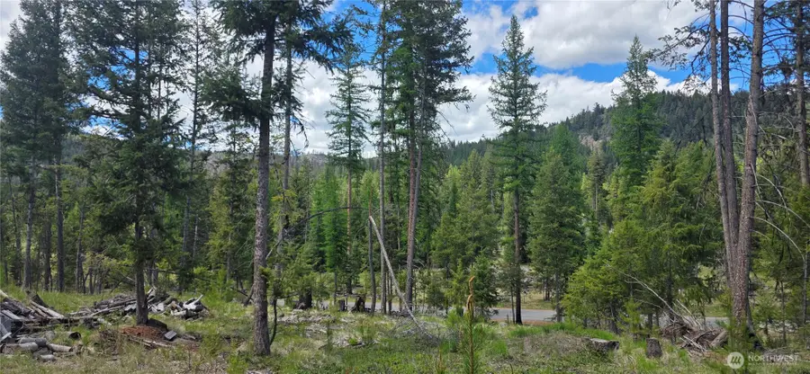 790 Bonaparte Lake Rd, Tonasket, WA 98855 - #3