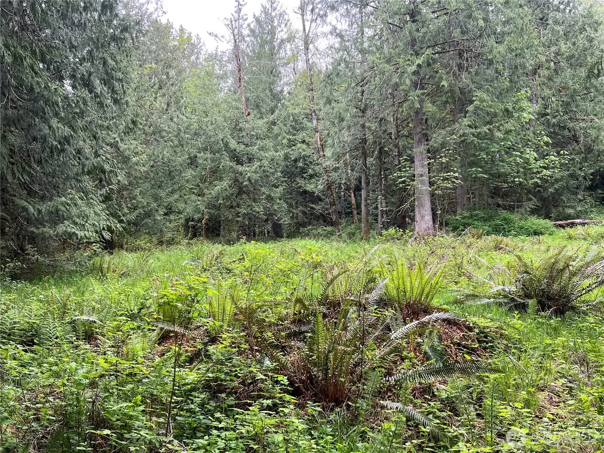 1 SE 51st Street, Issaquah Plateau, WA 98050 - #1