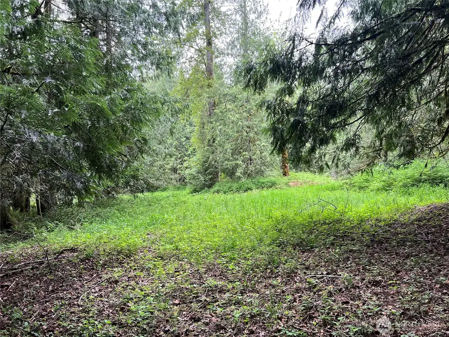 1 SE 51st Street, Issaquah Plateau, WA 98050 - #2