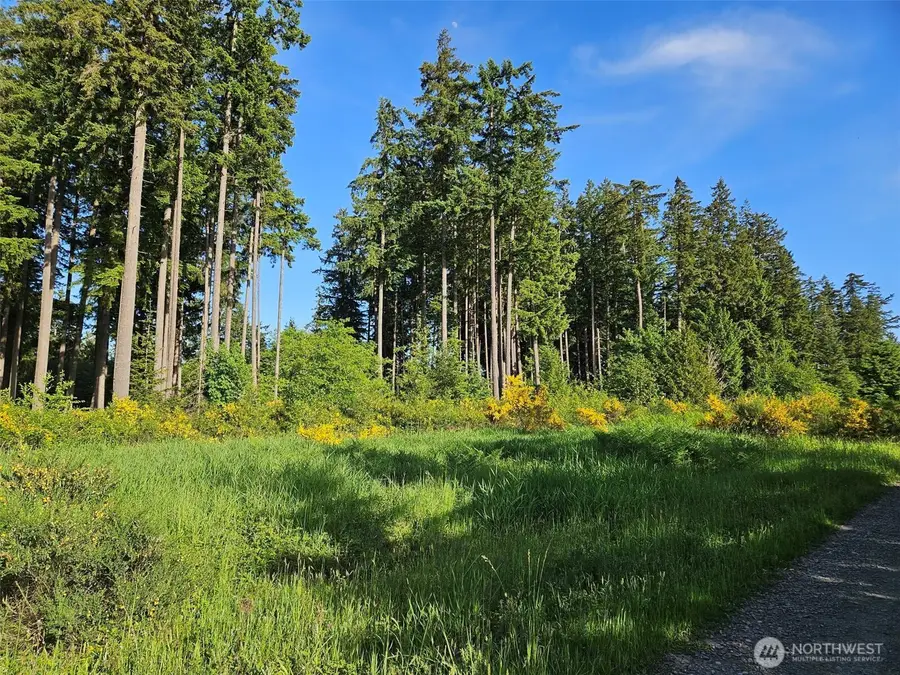 5033 Polehn Road Sw, Rochester, WA 98579 - #3