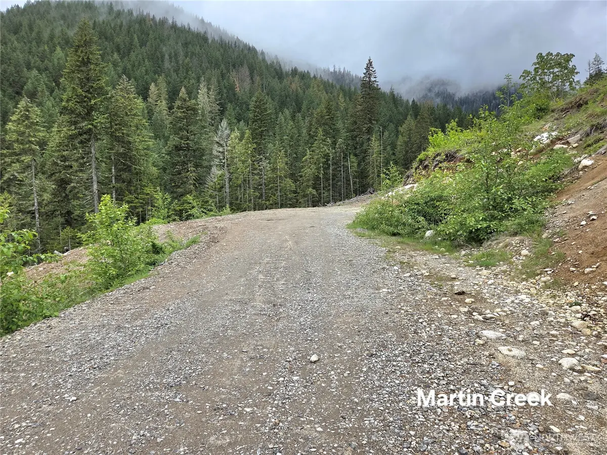 6710 Martin Creek, Skykomish, WA 98288 - #1