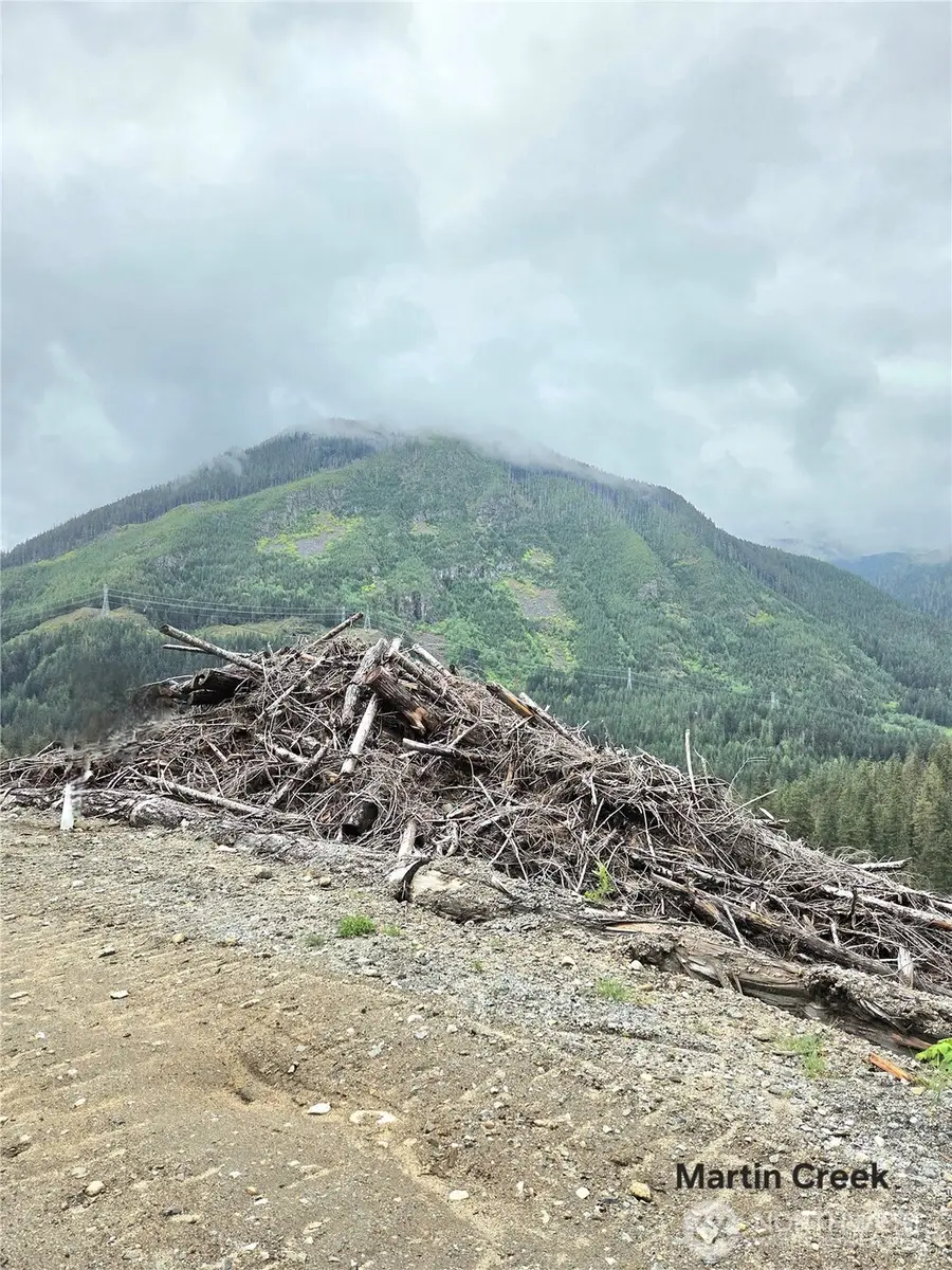 6710 Martin Creek, Skykomish, WA 98288 - #2