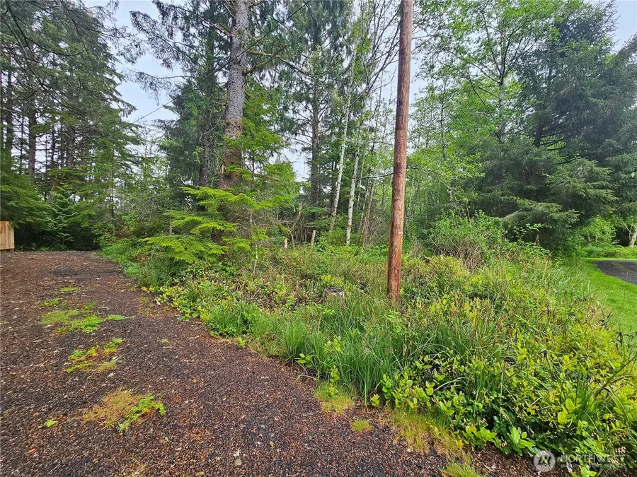 0 Patricia Drive, Copalis Beach, WA 98535 - #2