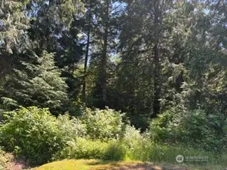0 441st Avenue Se, North Bend, WA 98045 - #2
