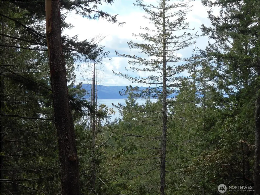 0 Yashi Road #1-21, Brinnon, WA 98320 - #2