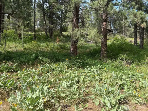 0 W 6th Street, Cle Elum, WA 98922
