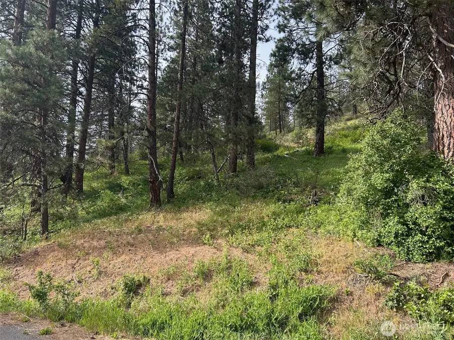 0 W 6th Street, Cle Elum, WA 98922 - #2
