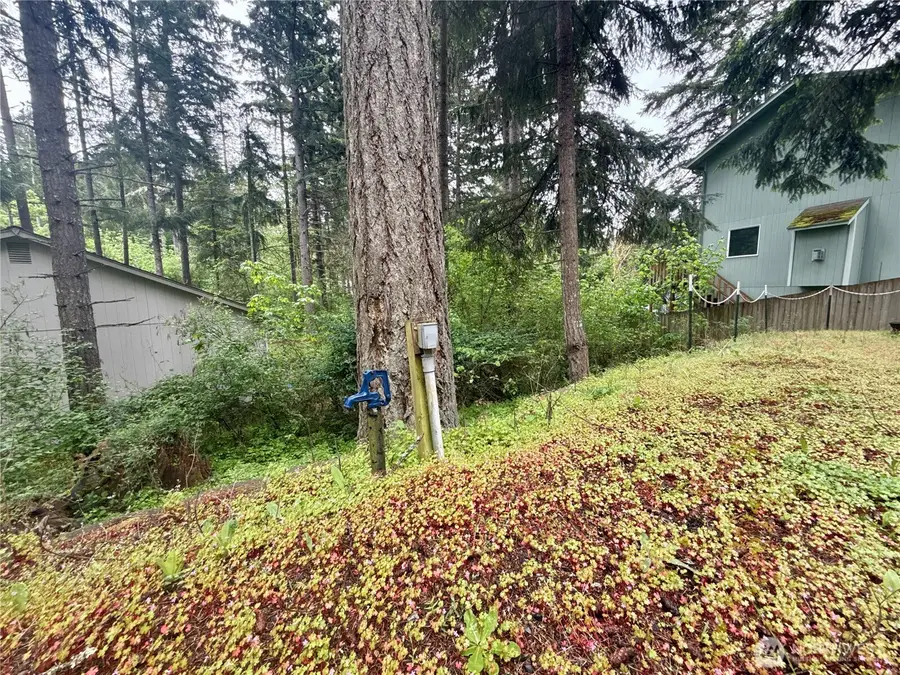 22441 Clearview Court Se, Yelm, WA 98597 - #2