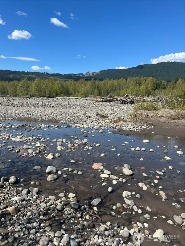 0 Rainier Vista Drive, Mineral, WA 98356