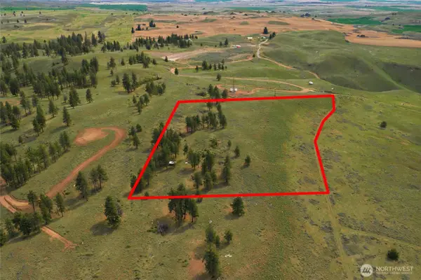 10 Alta Vista Way, Waterville, WA 98858