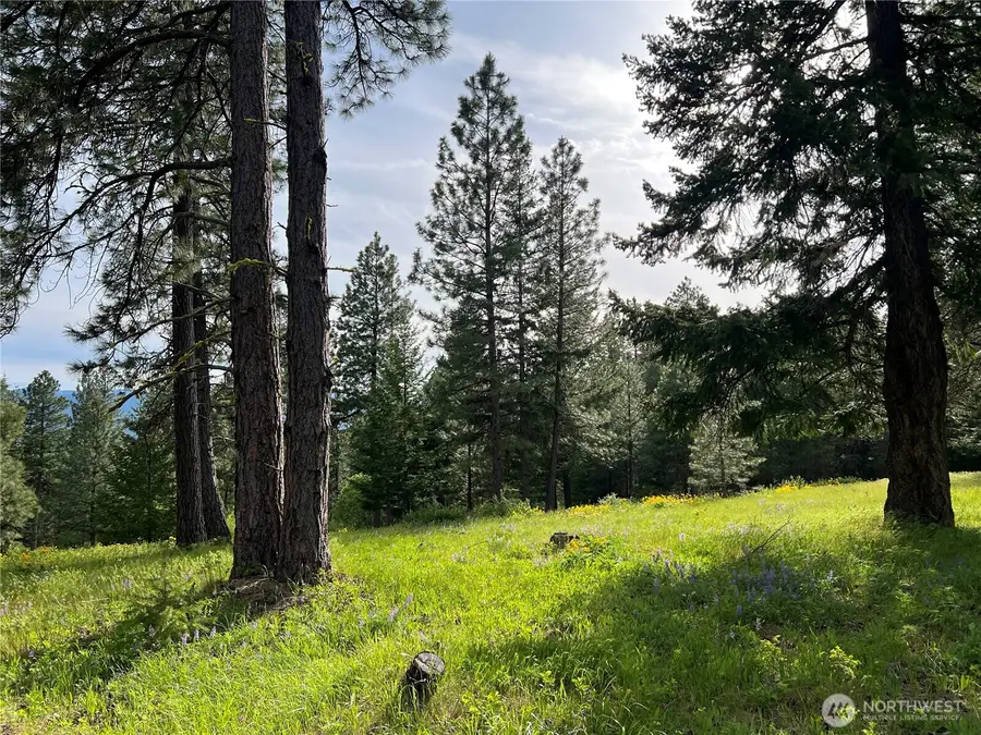 740 Sun Ridge Drive #1, Cle Elum, WA 98922 - #2