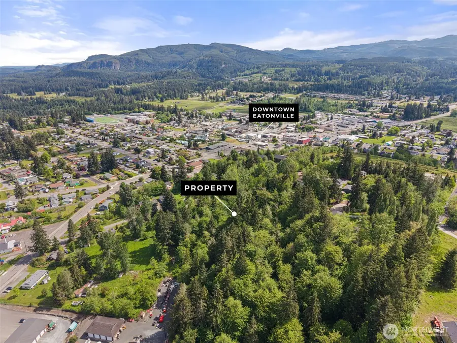 475 Larson Street, Eatonville, WA 98328 - #2
