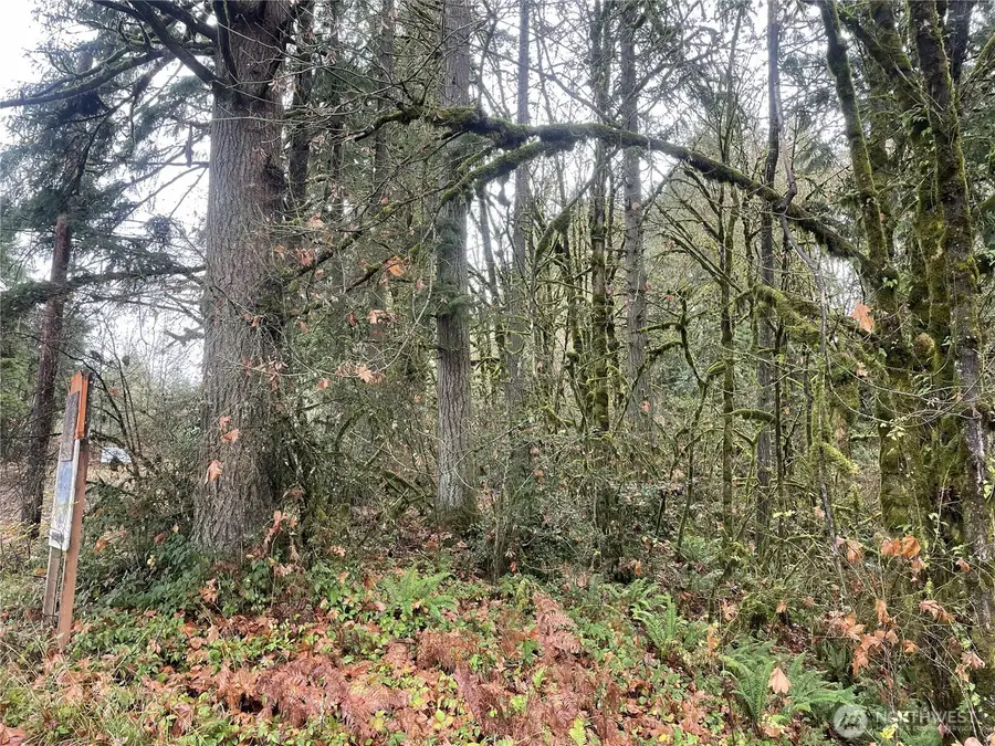 0 Wa 505, Toledo, WA 98591 - #2