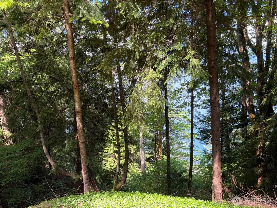 3 Tskutsko Point Road, Quilcene, WA 98376 - #3