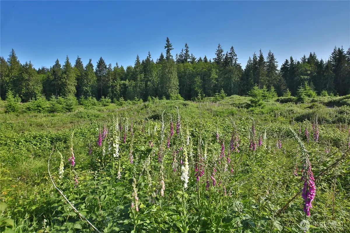 2062 Goodell Road #2, Freeland, WA 98249 - #1