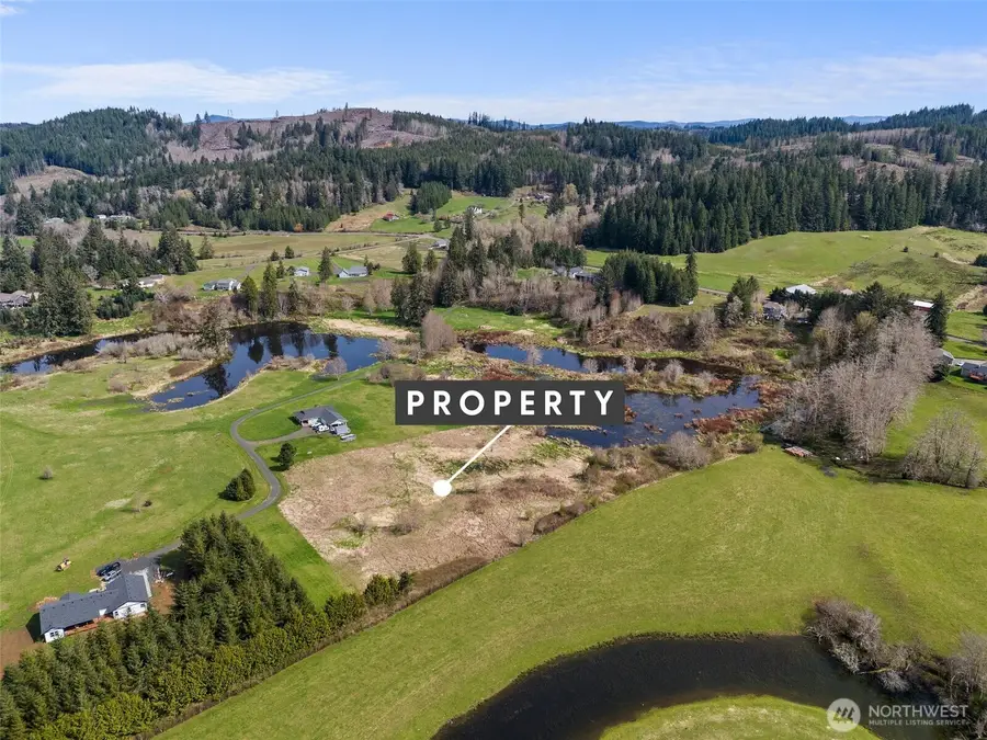0 X Lilly Wheaton Road, Raymond, WA 98577 - #3