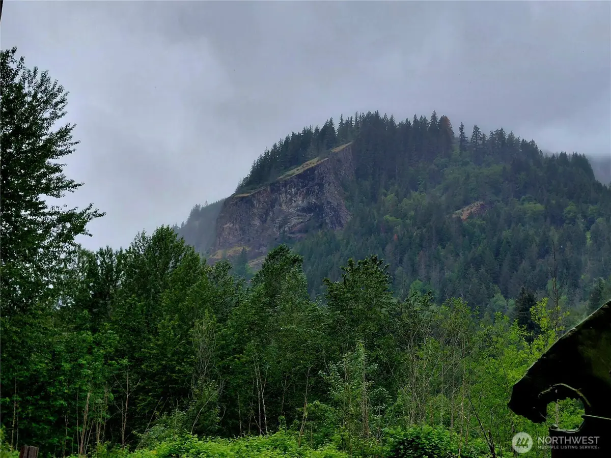 0 Highway 12, Randle, WA 98377 - #1