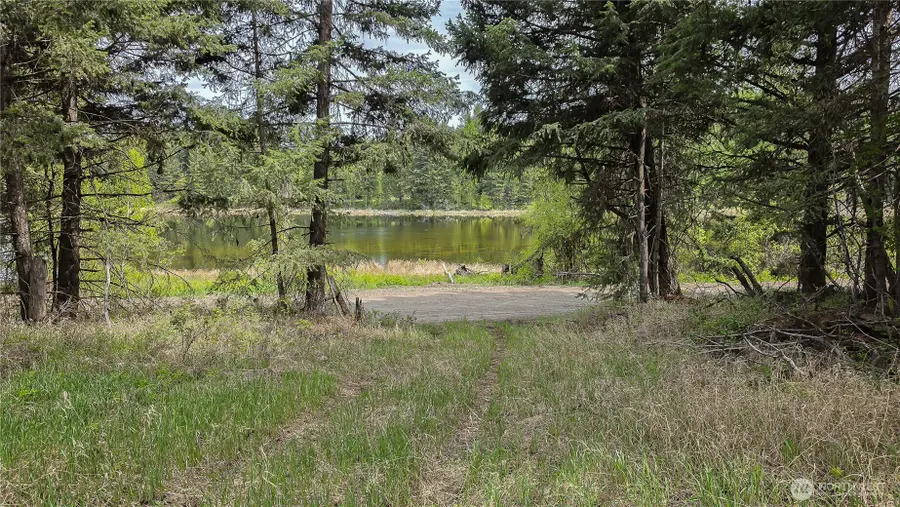 196 Davies Road, Oroville, WA 98844 - #3