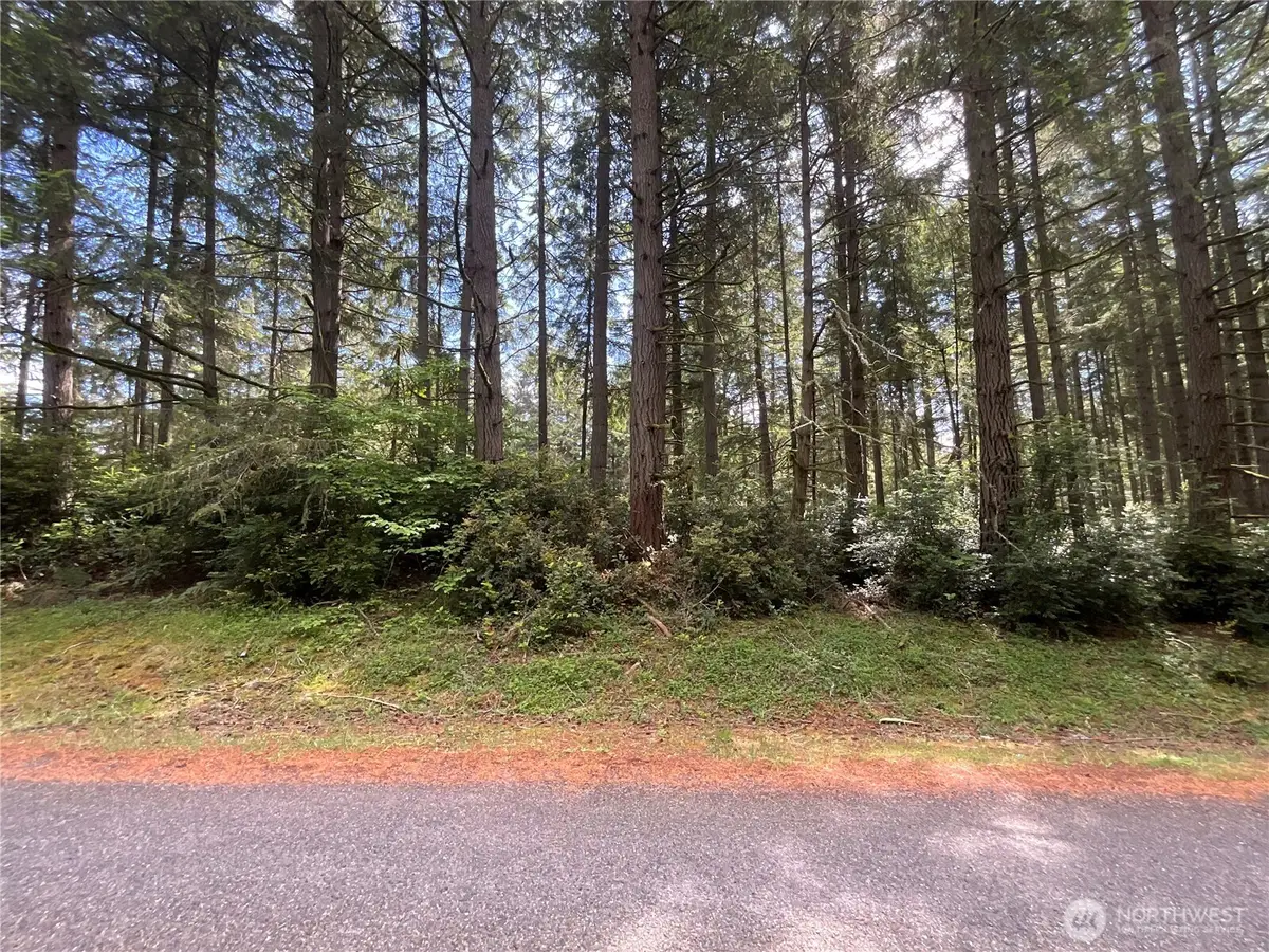 11321 Lake Josephine Avenue #Lot 69, Anderson Island, WA 98303 - #1