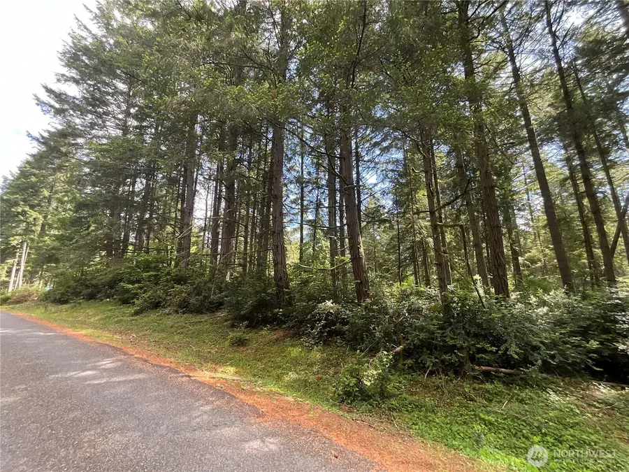 11321 Lake Josephine Avenue #Lot 69, Anderson Island, WA 98303 - #3