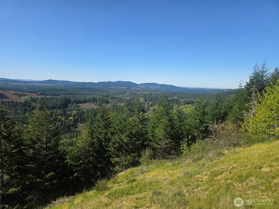 7241 W Cloquallum Road, Shelton, WA 98584 - #2