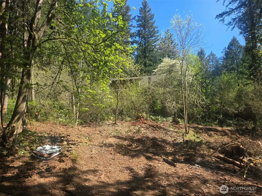 22439 Vale Court Se, Yelm, WA 98597 - #3