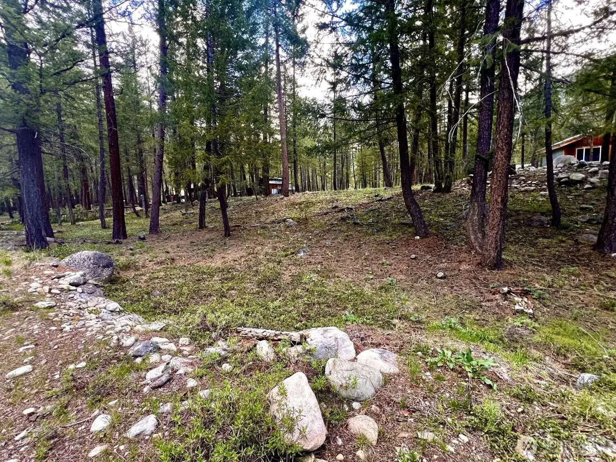 35 Emerson Road, Mazama, WA 98833 - #1