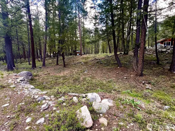 35 Emerson Road, Mazama, WA 98833