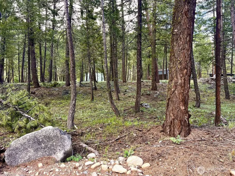 35 Emerson Road, Mazama, WA 98833 - #3