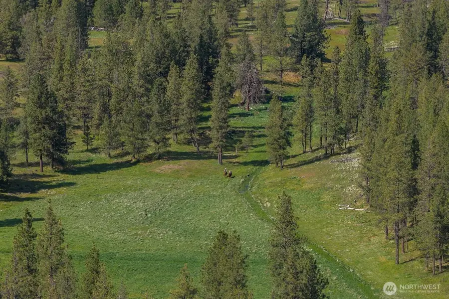32312 North Pine Creek Road S, Spangle, WA 99031 - #2