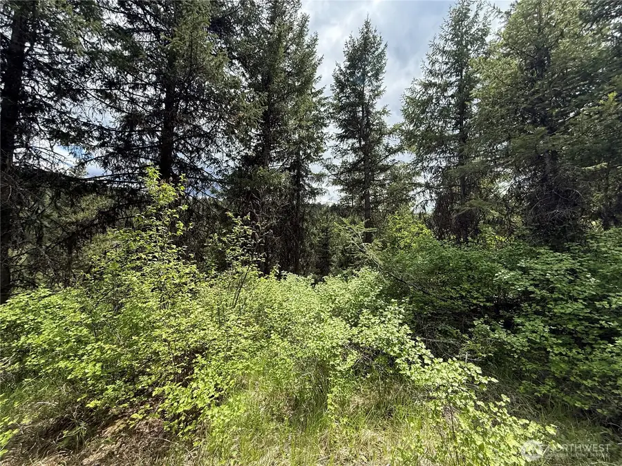 0 Slippery Hill Road #Lot 131, Republic, WA 99166 - #2