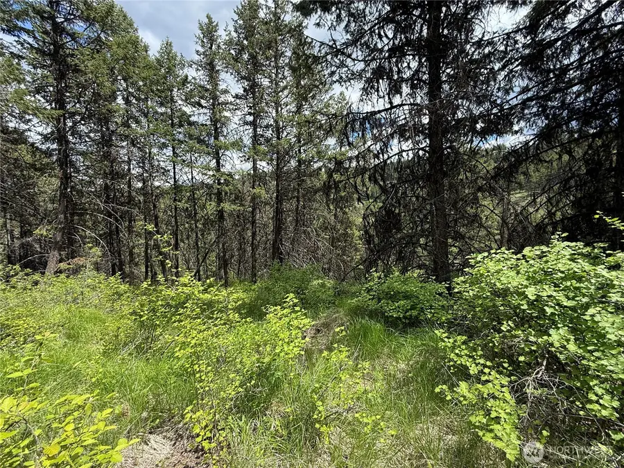 0 Slippery Hill Road #Lot 131, Republic, WA 99166 - #3