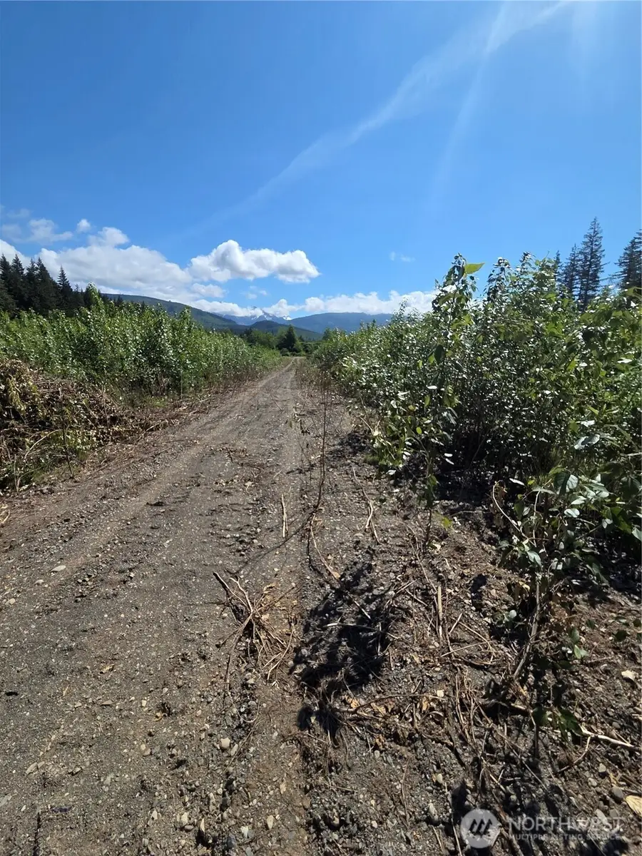 0 Doran Road, Acme, WA 98220 - #3