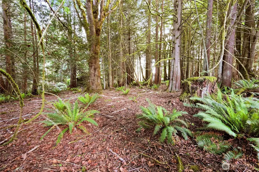 0 Rainier Lane, Port Ludlow, WA 98365 - #3