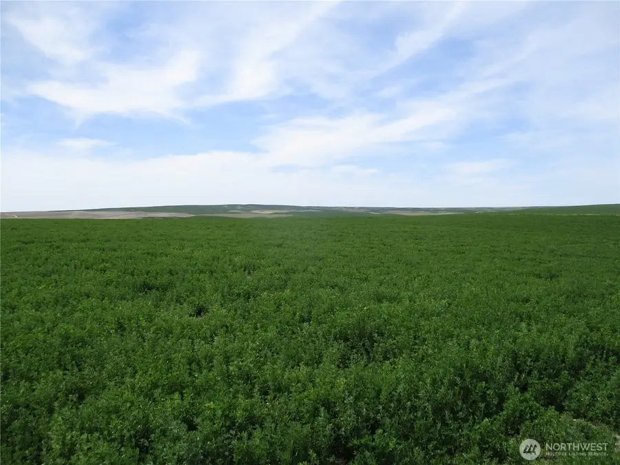 0 Ash Hollow Road, Touchet, WA 99360 - #3