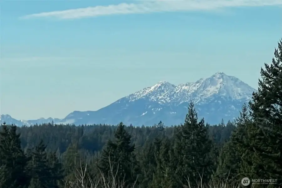 4201 Nettle Drive Se, Port Orchard, WA 98366 - #3