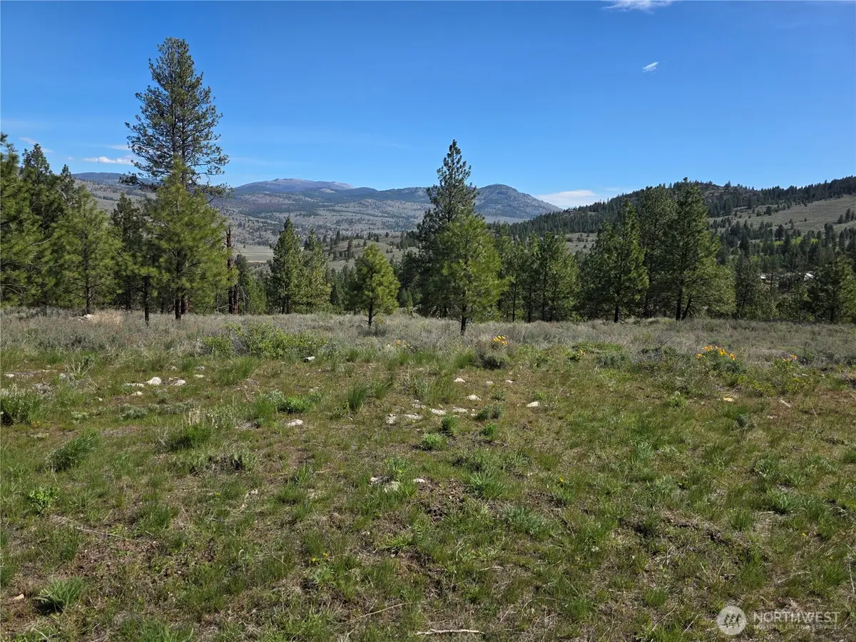 144 Reevas Basin Road, Tonasket, WA 98855 - #1