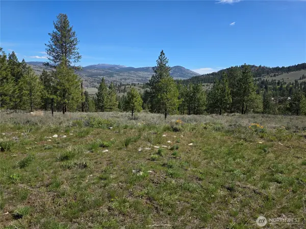 144 Reevas Basin Road, Tonasket, WA 98855
