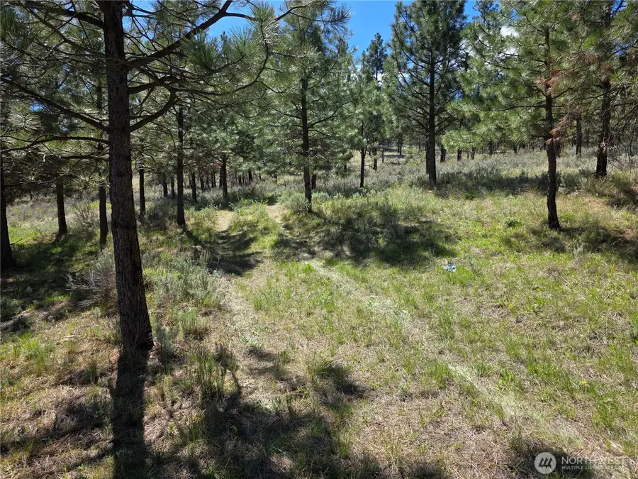 144 Reevas Basin Road, Tonasket, WA 98855 - #2