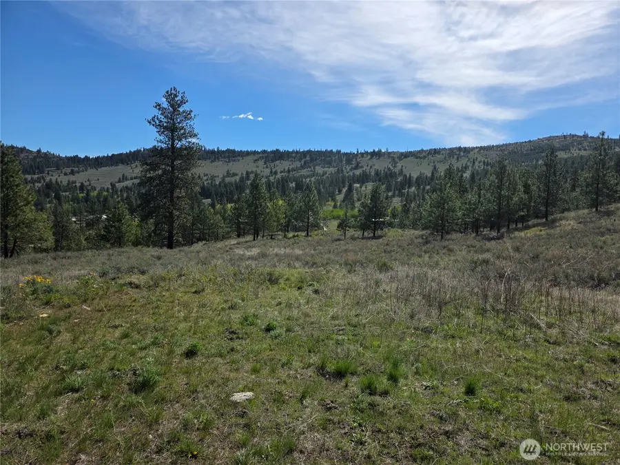 144 Reevas Basin Road, Tonasket, WA 98855 - #3